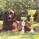 Lancelot de la Cle des Coeurs 4