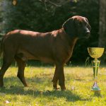 Lancelot de la Cle des Coeurs 2