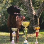 Lancelot de la Cle des Coeurs 4