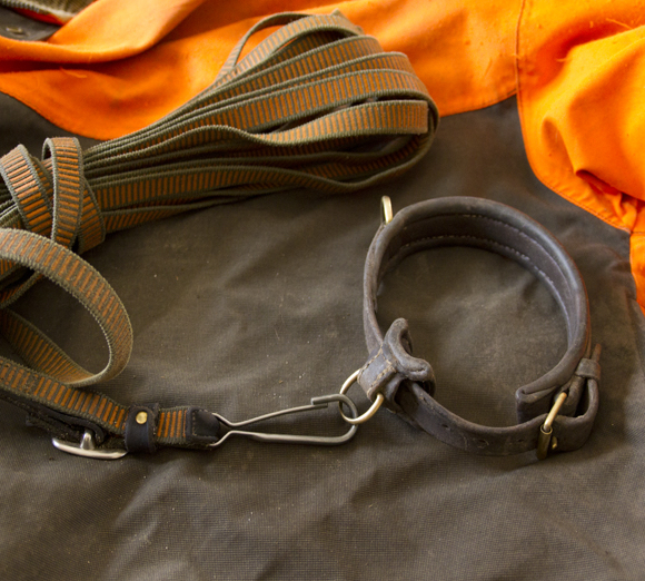 TAN-ISHV de Manigod (74)<